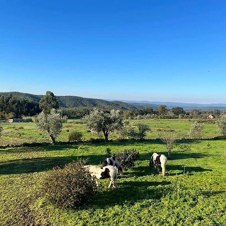 مبيت وإفطار Ázere Quinta Da Barroca Do Cabo المظهر الخارجي الصورة