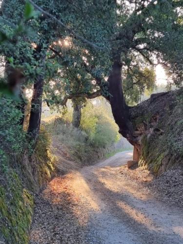 مبيت وإفطار Ázere Quinta Da Barroca Do Cabo المظهر الخارجي الصورة