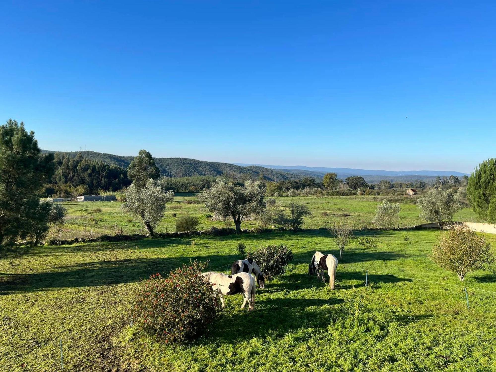 مبيت وإفطار Ázere Quinta Da Barroca Do Cabo المظهر الخارجي الصورة